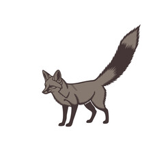 Obraz premium Generic representation of a vector file format, suitable for placeholder content or technical documentation