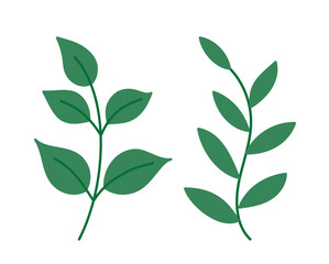 Fototapeta premium Minimal green leaf branch illustration set. Simple botanical foliage clipart collection. Hand-drawn leafy branch elements in flat style. Transparent background. SVG.