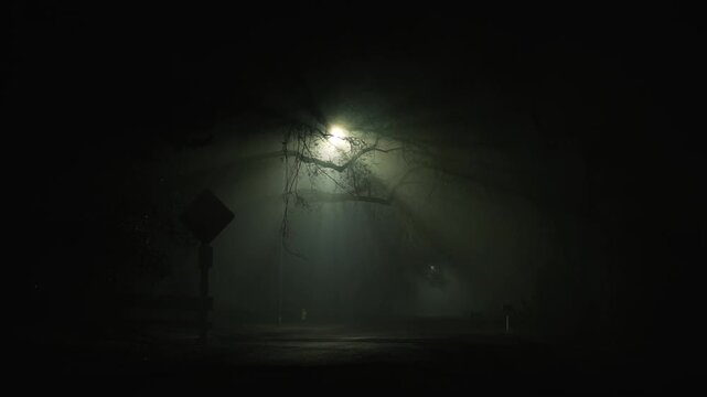 Foggy night street with streetlight and tree branches, thick fog diffuses the light creating dark cinematic atmosphere of silence and mystery
