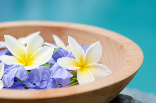 Tropical flower petals in wooden bowl