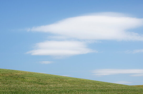 Field of grass on hill side