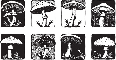A set of mushrooms. Hand drawn vector illustration © Михаил Н