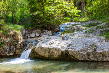 Pieniny. Rezerwat Biała Woda.