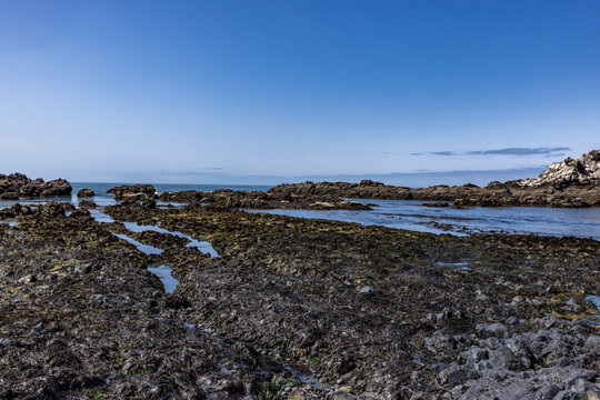 USA, Oregon, Newport, Rocky coast at Yaquina Head Outstanding Natural Area
