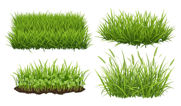 Lush green grass patches realistic vector set isolated on transparent background