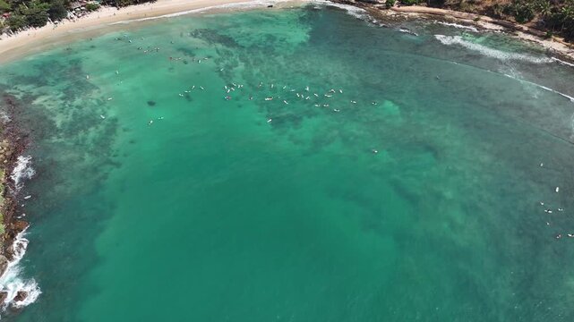 Drone shot of many surfboards floating in clear ocean, surfing lifestyle and vacation on Sri Lanka coast, Dikwella, Hiriketiya