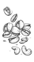 Artistic black and white illustration of pistachios and cashews, scattered on white