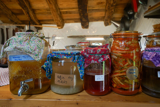 Cheese and fermented food factory, Cantabria, Spain