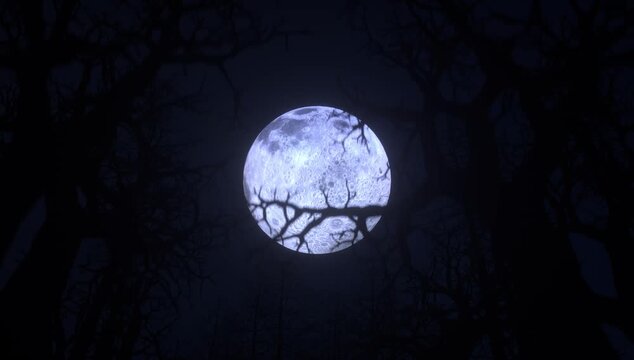 Mysterious Full Moon Night Eerie Silhouettes of Tree Branches Illuminate Dark Sky, Creating Haunting Atmosphere and Intriguing Scene in Forest