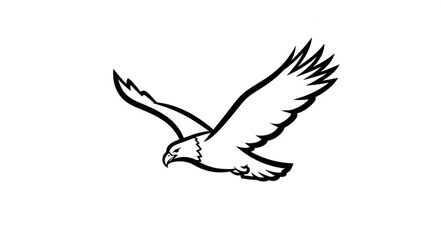 Obraz premium Eagle in flight drawing illustration.