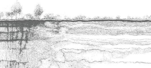 Detailed cross section of wetland soil layers with trees and vegetation above © Towhidul