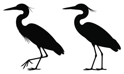 Fototapeta premium heron silhouette vector