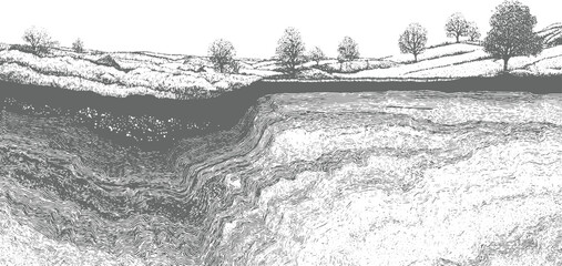 Fototapeta premium Cross section of layered earth and rolling hills with trees under a white sky layers soil