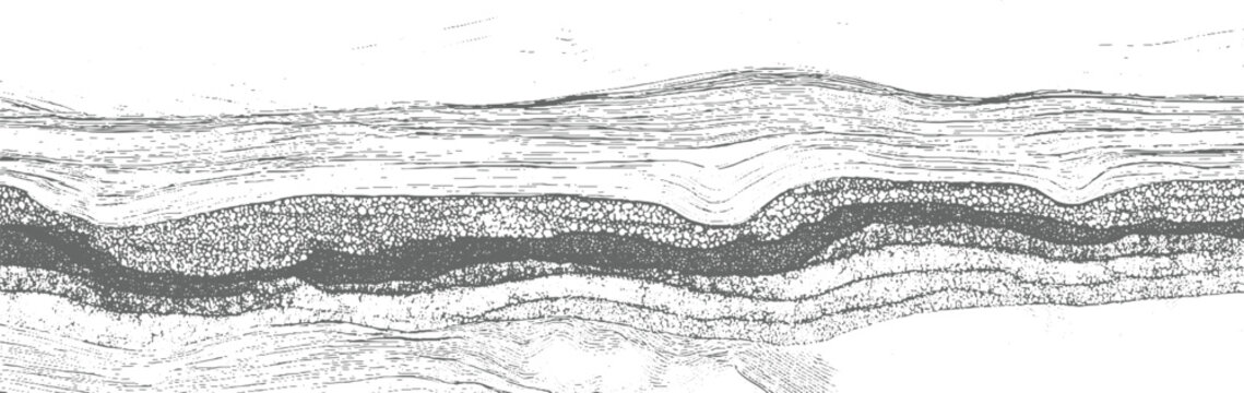 Detailed cross section of geological strata showing sedimentary layers and rock formations geology