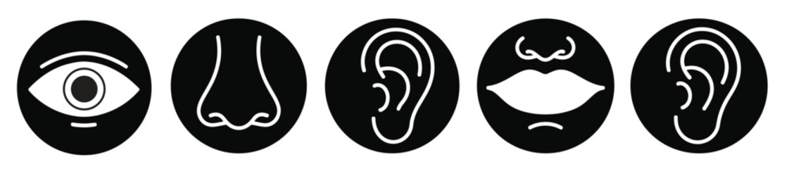 Explore simplified human senses eye nose mouth ears for educational learning. Explore human senses  showing sight, sound, speech, and touch, essential human sense of hearing vector illustration.