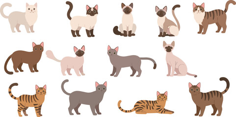 Fototapeta premium Cute Cat Breed Cartoon Characters Vector Set with Sitting Standing and Lying Poses