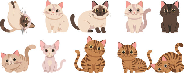 Fototapeta premium Cute Cat Breed Cartoon Characters Vector Set with Sitting Lying and Playful Kitten Poses