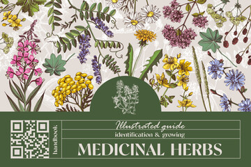 Obraz premium Medicinal plants banner with healing herbs