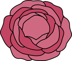 Obraz premium Pink Rose Flower Head Illustration