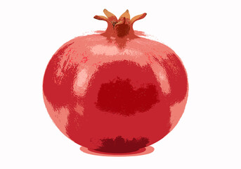 A single pomegranate fruit on a white background
