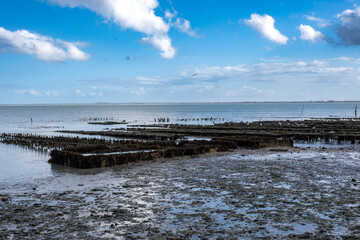 Vue des parcs à huîtres à marée basse sur le littoral breton, avec la mer en arrière‑plan sous un ciel bleu parsemé de nuages. Paysage marin typique de la côte atlantique. © d70 Philippe Dougoud