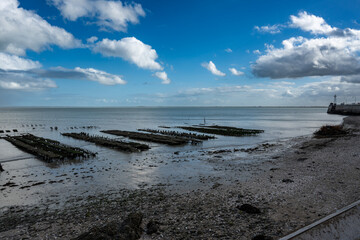 Vue des parcs à huîtres à marée basse sur le littoral breton, avec la mer en arrière‑plan sous un ciel bleu parsemé de nuages. Paysage marin typique de la côte atlantique. © d70 Philippe Dougoud
