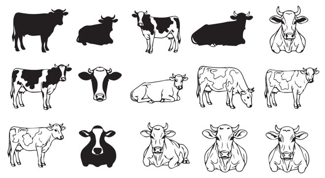 Collection of various cow illustrations in black and white, including silhouettes and line drawings in different poses.