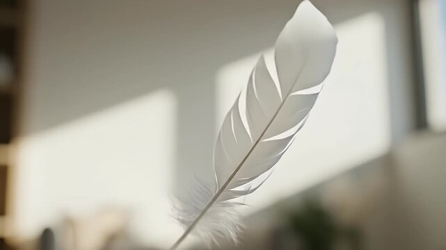 A delicate white feather gracefully floats and spins in the air, illuminated by soft natural light, creating a serene and ethereal atmosphere.