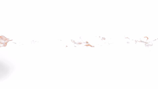 Shockwave Footage Use White Background