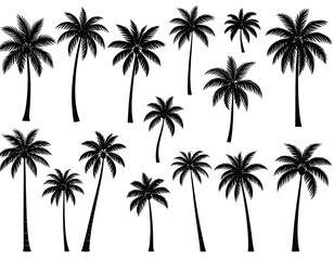 Tropical Palm Tree Silhouettes - A Collection of Island Flora.