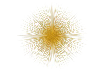 Obraz premium Golden starburst design element isolated on transparent background