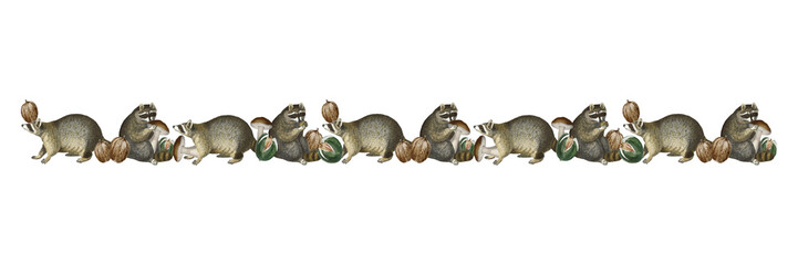 Obraz premium Raccoon divider png sticker, vintage animal pattern border, transparent background