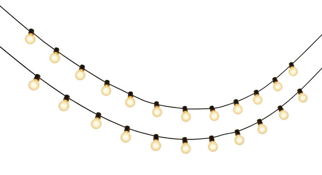 Double string of light bulbs hanging isolated on transparent background