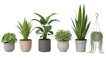 Fototapeta premium Collection of various potted plants in different pots isolated on transparent background