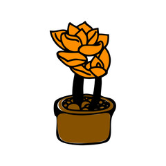 A yellow flower blooming in a pot like a simple spring bouquet