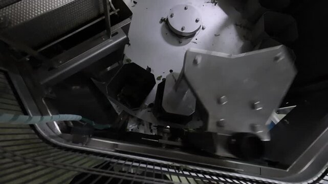 Confezionamento industriale di insalata pronta in stabilimento alimentare