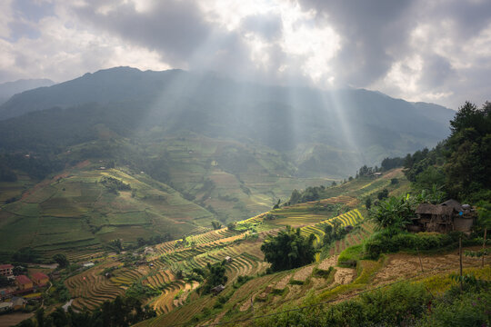 Aerial view of sunbeams piercing through the clouds, illuminating the terraced rice paddies in vibrant greens and golds, Che Cu Nha, Mu Cang Chai, Yen Bai, Vietnam.