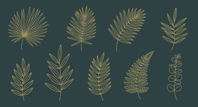 Collection of Various Leaf Shapes and Forms.