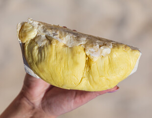 A person is holding a yellow fruit in their hand