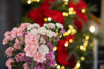 bukiet różnokolorowych kwiatów, goździków na rozmytym tle choinki przybranej w czerwone kokardy © siwyk