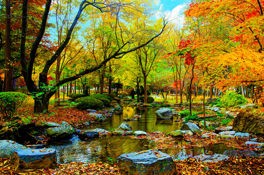 Beautiful autumn forest with bright foliage. Beautiful leaves with reflection during autumn season at Nami island, South Korea.Water stream through autumn trees in rura