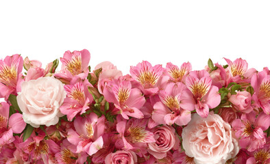 Obraz premium A vibrant border of pink and peach flowers, lush petals and greenery against black