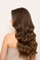Naklejka premium Back view of woman with long beautiful brunette hair isolated on white background. Dyeing and hair care. Shiny smooth brown hair hair