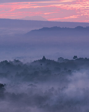 View of the ancient Borobudur Temple emerges ethereally from the swirling mists beneath a vibrant, pink-tinged dawn sky, Magelang Regency, Indonesia.