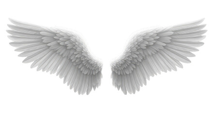 Obraz premium Beautiful white angel wings isolated on transparent background