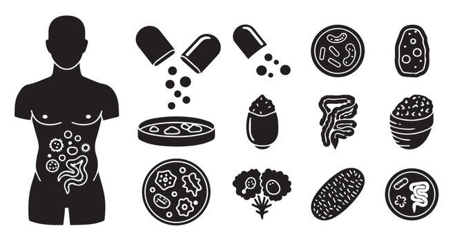 Human digestive system with probiotics and supplements illustration