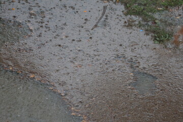 Bu fotoğraf i&ccedil;in hazırladığım a&ccedil;ıklayıcı başlık ve anahtar kelime listesi aşağıdadır:


Raindrops Falling on Dark Water Surface During Rainstorm: Top View of Water Ripples and Splashes 