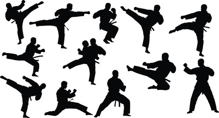 Black silhouettes of martial artists performing various karate kicks and punches against a white background © Ambia Art