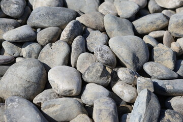 Smooth Grey River Pebbles and Stones Texture: Close-up Top View of Rounded Lake Side Rocks Glistening Under Bright Natural Sunlight in Summer