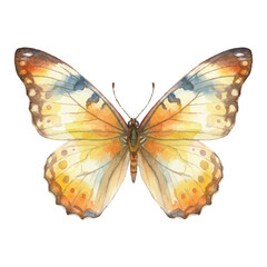 Obraz premium Watercolor Butterfly Illustration Vector Isolated on White Background, Summer Insect Animal Art 